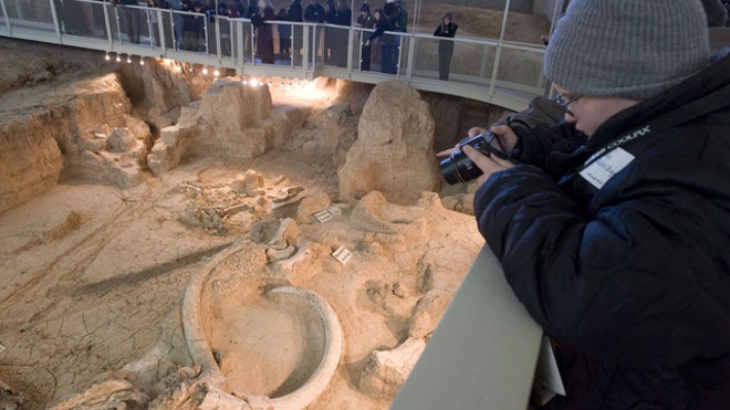 Waco Mammoth Site